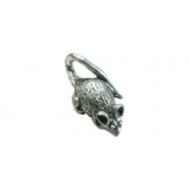 Mouse #1199 Mouse #1199