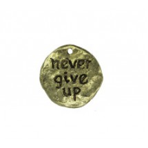 Never Give Up Disc #6493