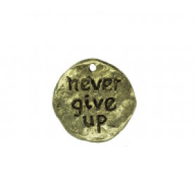 Never Give Up Disc #6494 Never Give Up Disc #6494