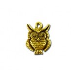 Owl #6147