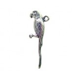 Parrot #1225 Parrot #1225