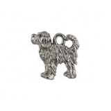 Portuguese Water Dog #3174