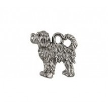 Portuguese Water Dog #3174