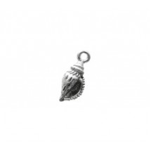 Sea Shell #2289