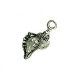 Sea Shell #575 Sea Shell #575