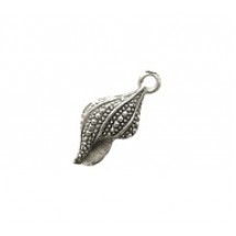 Sea Shell #905