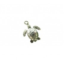 Sea Turtle #527