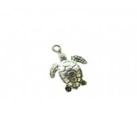 Sea Turtle #527