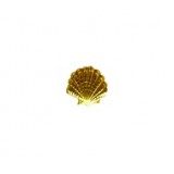 Shell Bead #2475