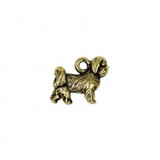 Shih Tzu Dog #6473