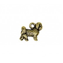 Shih Tzu Dog #6473