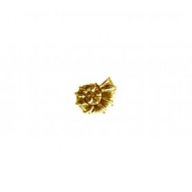 Snail Shell Bead #2474