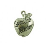 Special Teacher Apple #166 Special Teacher Apple #166