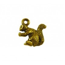 Squirrel #22