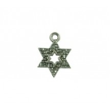 Star of David with Holy Wall #4701