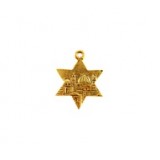 Star of David with Jerusalem #4997