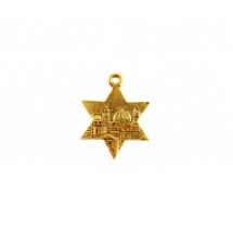 Star of David with Jerusalem #4997