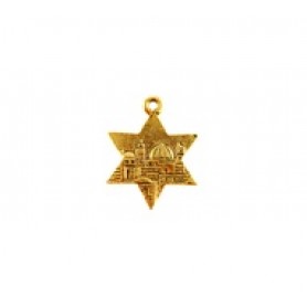 Star of David with Jerusalem #4997