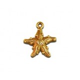 Starfish #4179