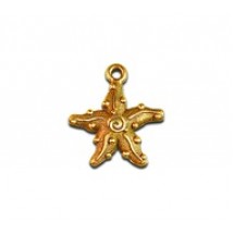 Starfish #4179