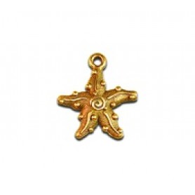 Starfish #4179