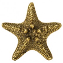 Starfish (Large) #6518