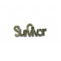 Survivor #4355