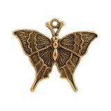 Swallowtail Butterfly #4535