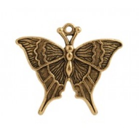 Swallowtail Butterfly #4535