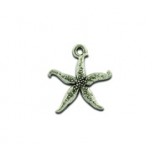 Thin Starfish #4411