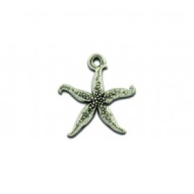 Thin Starfish #4411