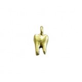 Tooth #2850