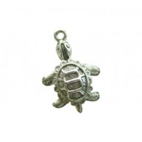 Turtle #1069NM Turtle #1069NM