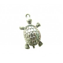 Turtle #210