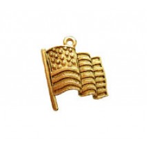 USA Flag #2525