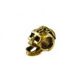 Vertical Hole Skull Head #6307
