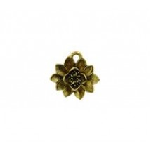 Waterlily #4501
