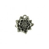 Waterlily #6157