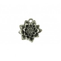 Waterlily #6157