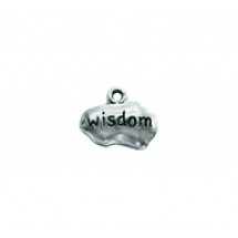 "Wisdom" Tag #3949