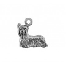 Yorkshire Terrier #3832